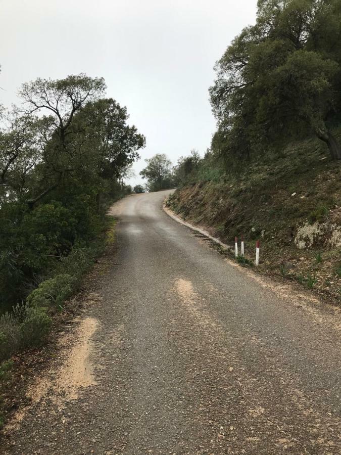 Sardegna vicino ad Olbia La casa nel vicolo Villa Berchidda Esterno foto