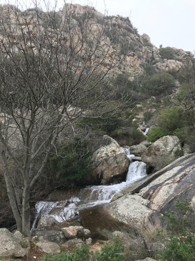 Sardegna vicino ad Olbia La casa nel vicolo Villa Berchidda Esterno foto