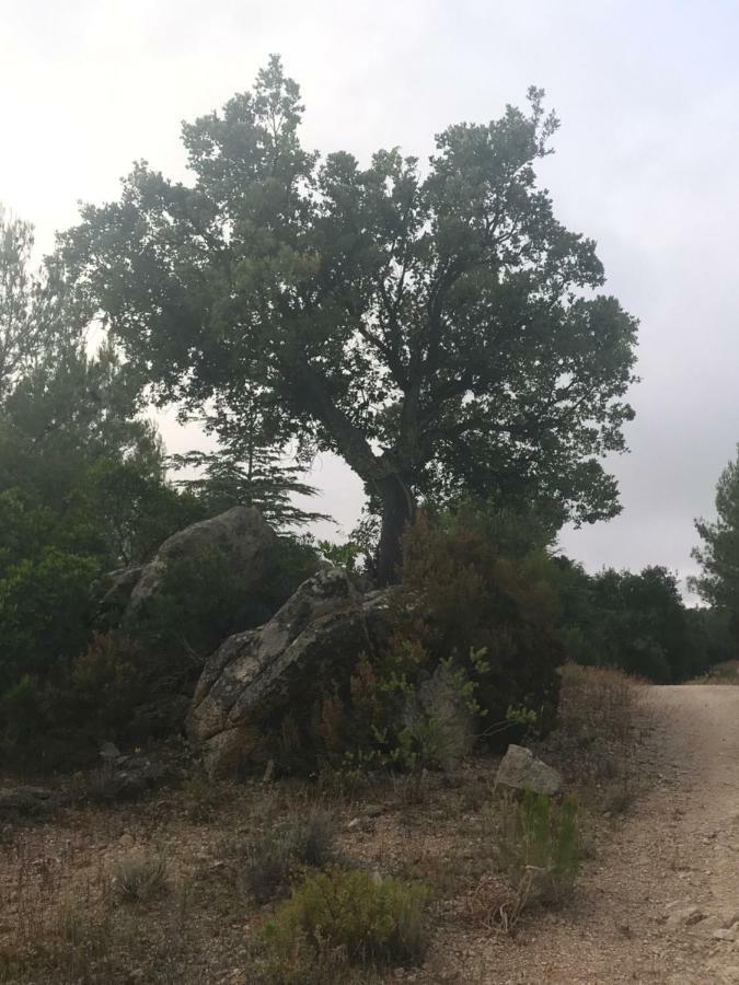 Sardegna vicino ad Olbia La casa nel vicolo Villa Berchidda Esterno foto